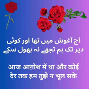 Love Shayari urdu-लव शायरी इन उर्दू